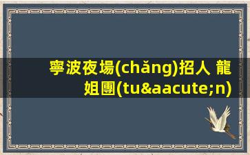 寧波夜場(chǎng)招人 龍姐團(tuán)隊(duì)直招